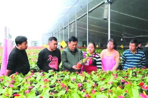 商河县依托新型农民培训等项目,开展花卉生产技术培训,目前已累计培训1200余人次